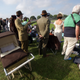 Image for article titled The Goodwood Revival Was 2014's Best Car Event, Period